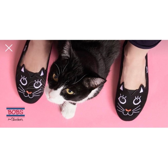 skechers bobs cat